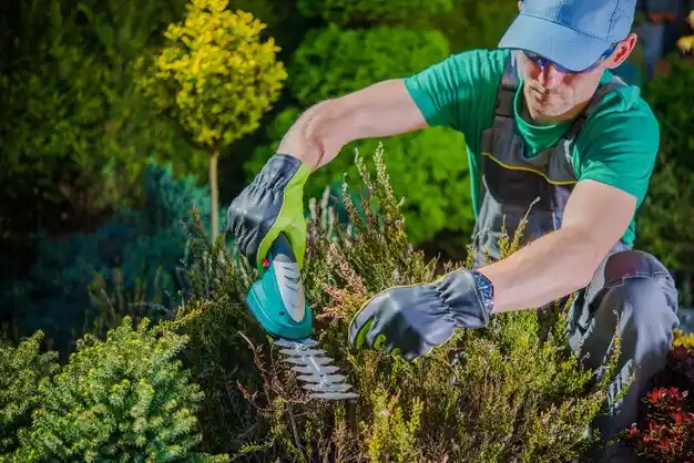 landscaping services Palenville